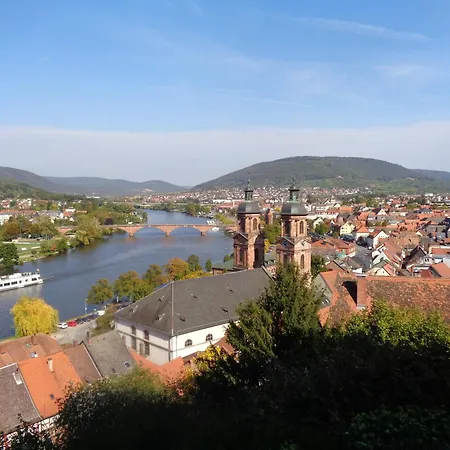 Geisenhof Semesterbostad Miltenberg