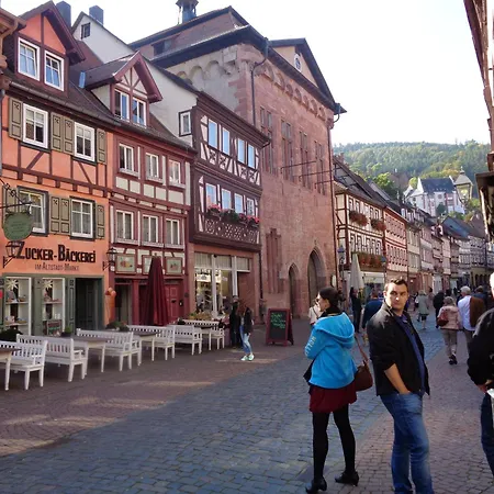 Geisenhof * Miltenberg